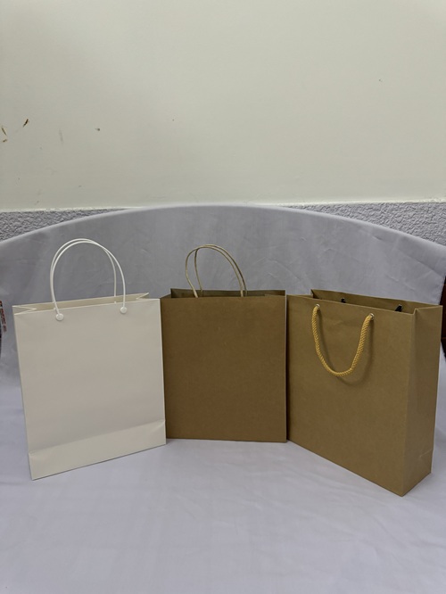 Túi giấy trơn đủ màu kích thước 30x25x10 cm/túi