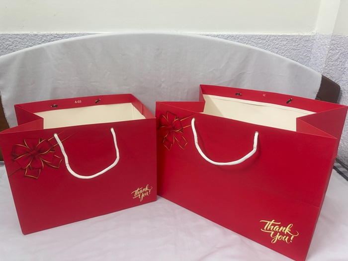 Túi giấy màu đỏ đáy to để trái cây/quà tặng có 2 kích thước/túi