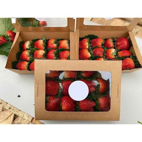 Hôp giấy kraft để bánh/quà tặng nắp kiếng đủ kích thước/hộp