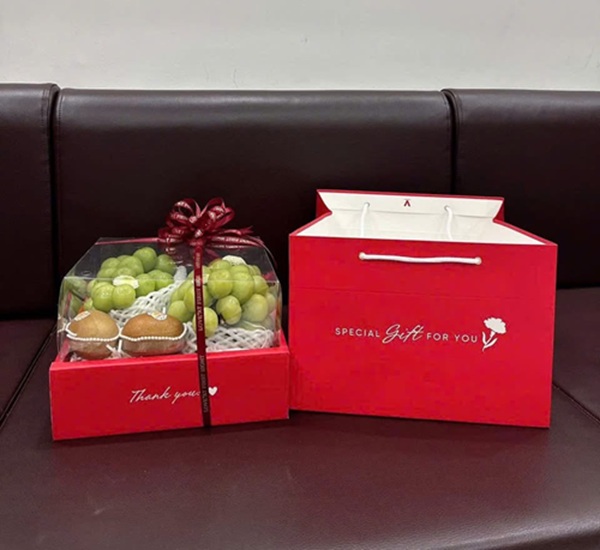 Combo túi và hộp nắp mica vuông kt 27x27x16 cm để trái cây/quà tặng đủ màu/combo