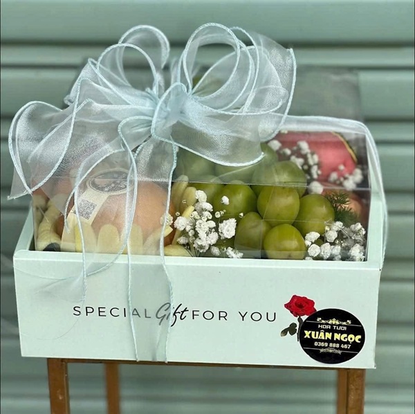 Combo túi và hộp chữ nhật màu xanh nắp mica để trái cây/quà tặng kt 25x35x13 cm/combo